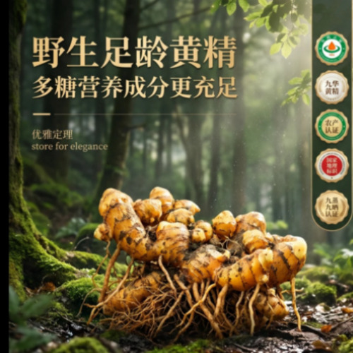 菁选灵创多元模型聚合生态